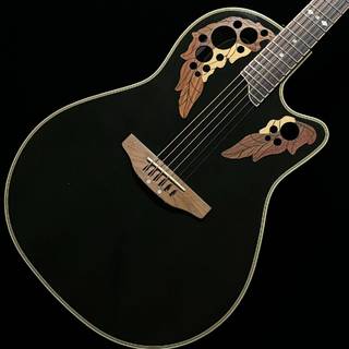 アコースティックギター／エレクトリック・アコースティックギター