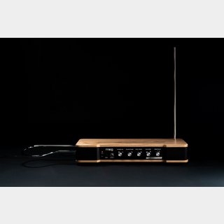 Moog Etherwave Theremin (MG EW THEREMIN)【WEBSHOP】