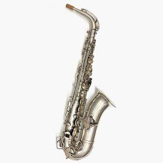 管楽器・吹奏楽器の検索結果【楽器検索デジマート】