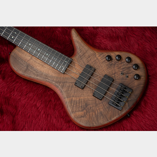 Adamovicの検索結果【楽器検索デジマート】