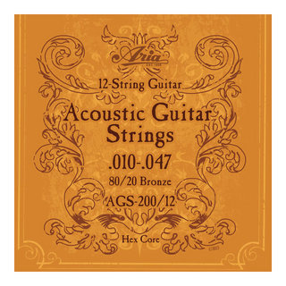ARIA AGS-200/12 12弦アコースティックギター弦