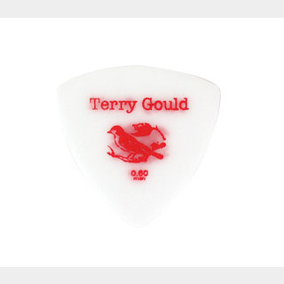 PICKBOYGP-TG-RS/06 Terry Gould Sand Grip 0.60mm ギターピック×50枚