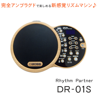 BOSS ボス DR-01S Rhythm Partner リズムマシン アコギなどのアンプラグド楽器を楽しむ方へ