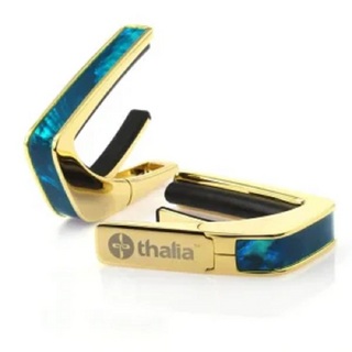 Thalia Capos Exotic Shell 【24K Gold/TEAL ANGEL WING】