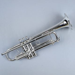 Bach Vincent【技術スタッフ常駐店 / 当店技術スタッフ調整済】【管楽器購入後サポート付】【現物画像】