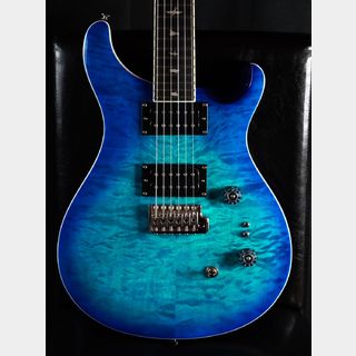 エレクトリックギター、Paul Reed Smith(PRS)、CUSTOM 24の検索