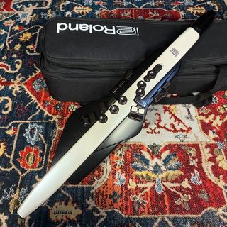 Roland AE-20 【現物画像】マウスピース交換済み