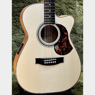 MATON EBG808C Michael Fix #31083【48回迄金利0%対象】【送料当社負担】