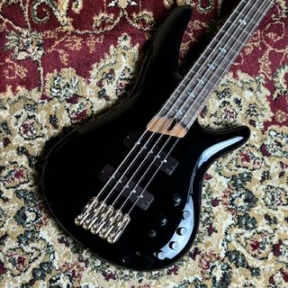アイバニーズSRの最新4モデルを弾き比べ！ Yuki Atori × Prestige 2025