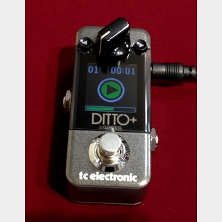 tc electronic DITTO+ 【正規輸入品】【最大60分録音99ループ保存】【送料無料】