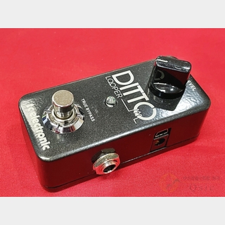 tc electronic Ditto Looper [XKZ15]【梅田店在庫】