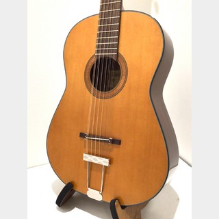 アコースティックギター／エレクトリック・アコースティックギター