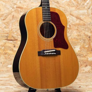 カネコアヤノの1965年製 ギブソン J-50｜AGM GUITAR GRAPH -Volume 96