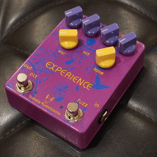 TSAKALIS AUDIO WORKS EXPERIENCE Fuzz-Octave