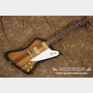 エレクトリックギター ＞ ファイヤーバードタイプ、Gibson、Firebirdの