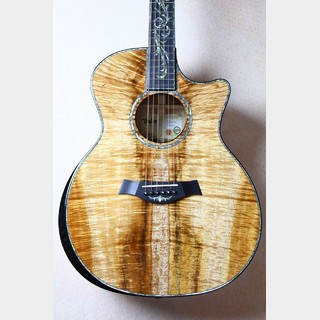 Taylor、Customの検索結果【楽器検索デジマート】