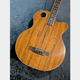 アコースティックベース アコースティック・ベース／エレアコ・ベースの検索結果【楽器検索