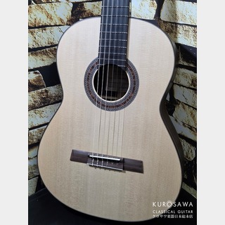 激レア 希少 カールヘフナー　 496　アコギ　 ヴィンテージ 激レア 希少 カールヘフナー 496 アコギ ヴィンテージ 激レア 希少