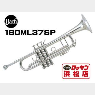 Bach 180ML37SP 限定 特別セール!!