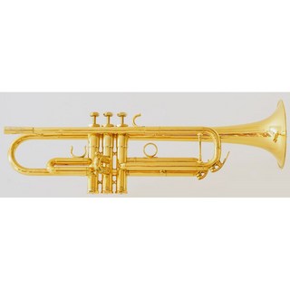 シルキートランペットボトムキャップ XL 中古 シルバー （【楽天