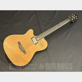 アコースティックギター／エレクトリック・アコースティックギター