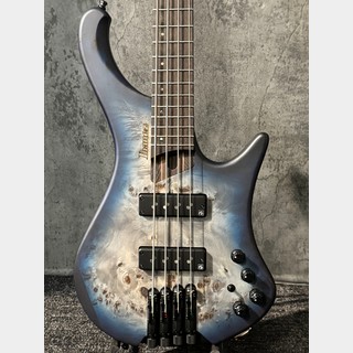 エレクトリック・ベース、Ibanez、EHBの検索結果【楽器検索デジマート】