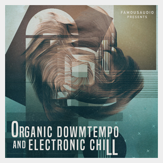 FAMOUS AUDIOORGANIC DOWNTEMPO & ELECTRONIC CHILL