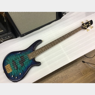 FERNANDES FRB-42/SBG