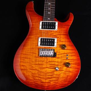 Paul Reed Smith(PRS)、SE Paul's Guitarの検索結果【楽器検索デジマート】