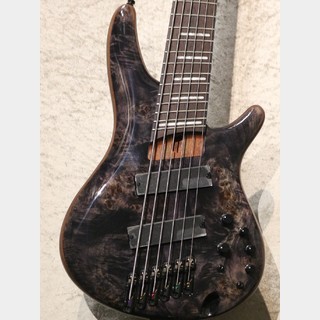 Ibanez SRMS806 -Deep Twilight-【6弦】【スポット生産モデル】