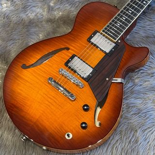 Sadowsky Semi Hollow (Sienna Burst)