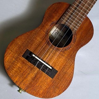 Takamine TUK-S1