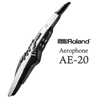 Roland Aerophone AE-20 │ WIND INSTRUMENTS