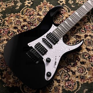 Ibanez RGV250 BK【現物画像】