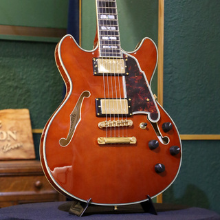 D'Angelico 【アウトレットセール】【ストラッププレゼントキャンペーン】Excel Mini DC, Viola