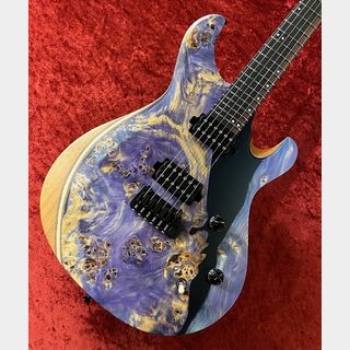 Altero Custom GuitarsVuoto diverso 【Custom Order Model】