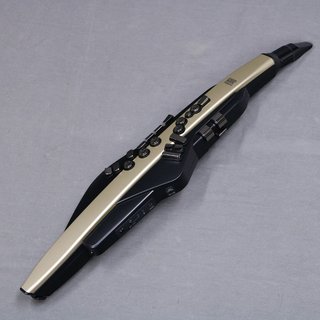 Roland AE-20SC Aerophon エアロフォン 【御茶ノ水本店】