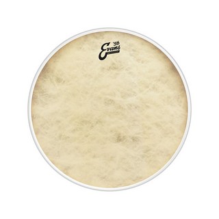 EVANSBD24GB4CT ['56 - EQ4 Calftone Bass 24 / Bass Drum]【1ply ， 12mil + 10mil ring】【お取り寄せ品】