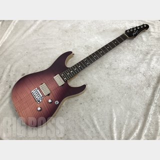 Addictone Custom Guitars Arena 24F(Raspberry WakeSurf)