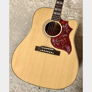 Epiphone、Hummingbird Deluxe ECの検索結果【楽器検索デジマート】