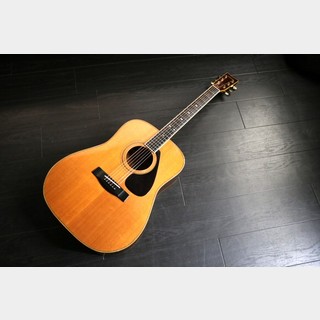アコースティックギター／エレクトリック・アコースティックギター