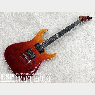 E-II、Horizon NT-IIの検索結果【楽器検索デジマート】