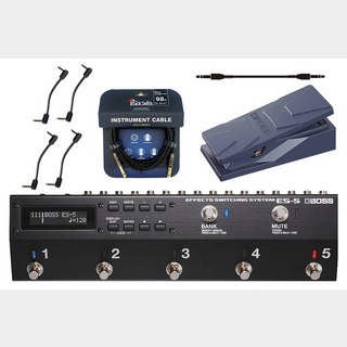 BOSSES-5 Effects Switching System + EV-30