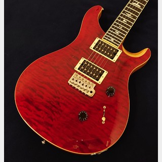 Paul Reed Smith(PRS) SE CUSTOM 24 "Black Cherry"