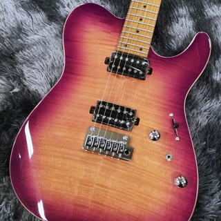 Vivie Dolphin Deverb (山野楽器 ロックイン難波限定カラー) Vivie Dolphin Deverb (山野楽器 ロックイン難波限定カラー)