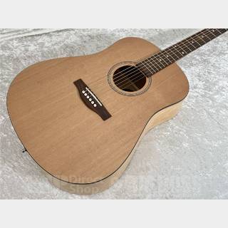 シーガル創設当初のモデルを再現したS6 Collection 1982が登場