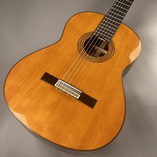 YAMAHA GC22C