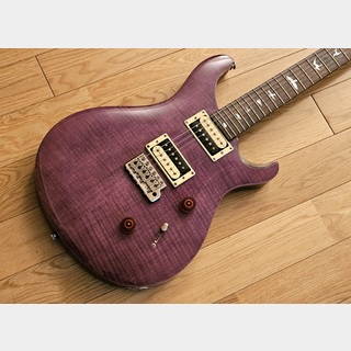 Paul Reed Smith(PRS) SE Custom 24 