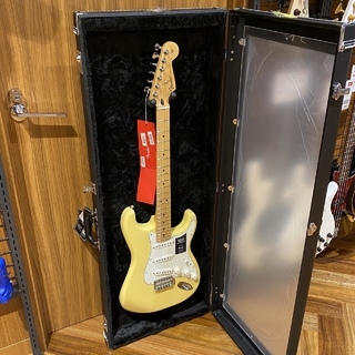 Fender 【フェンダー】  GUITAR DISPLAY CASES