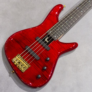 Sugi NB5IR EM/ALD STR【Sugi Guitars Premium Days】